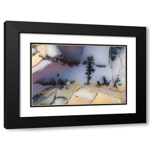 USA, Nevada Close-up of amethyst sage agate Black Modern Wood Framed Art Print with Double Matting by Kirkland, Dennis