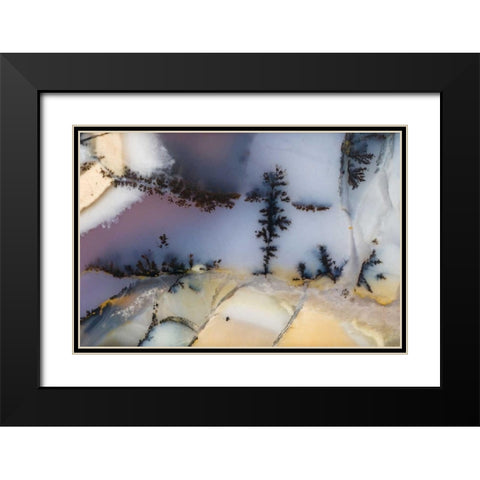 USA, Nevada Close-up of amethyst sage agate Black Modern Wood Framed Art Print with Double Matting by Kirkland, Dennis