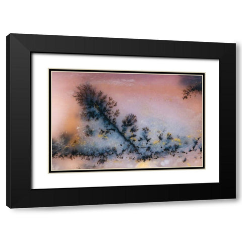 USA, Nevada Close-up of amethyst sage agate Black Modern Wood Framed Art Print with Double Matting by Kirkland, Dennis