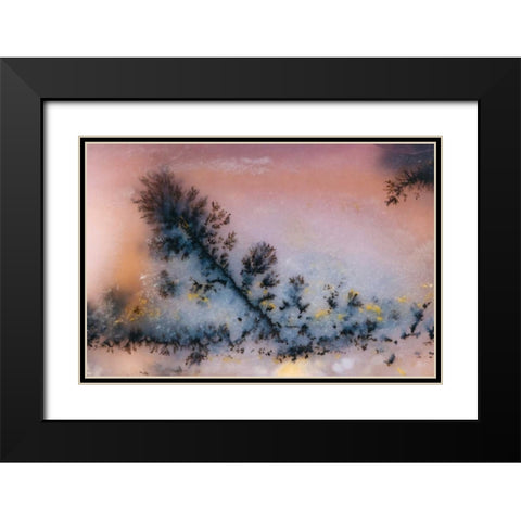 USA, Nevada Close-up of amethyst sage agate Black Modern Wood Framed Art Print with Double Matting by Kirkland, Dennis