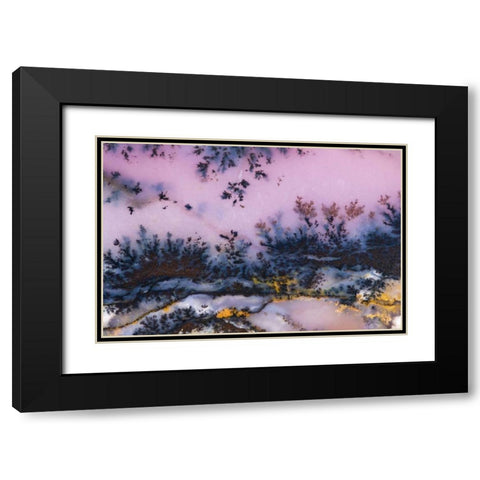 USA, Nevada Close-up of amethyst sage agate Black Modern Wood Framed Art Print with Double Matting by Kirkland, Dennis