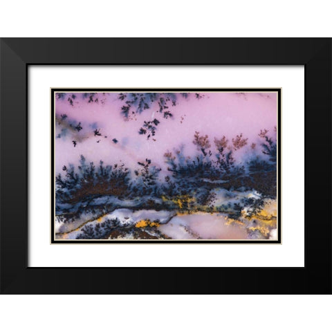 USA, Nevada Close-up of amethyst sage agate Black Modern Wood Framed Art Print with Double Matting by Kirkland, Dennis