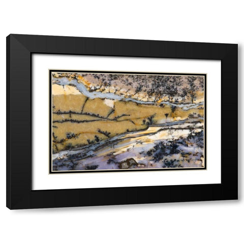 USA, Nevada Close-up of amethyst sage agate Black Modern Wood Framed Art Print with Double Matting by Kirkland, Dennis