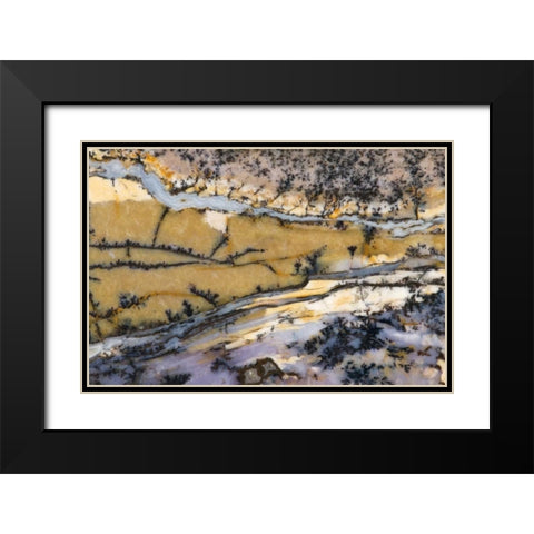 USA, Nevada Close-up of amethyst sage agate Black Modern Wood Framed Art Print with Double Matting by Kirkland, Dennis