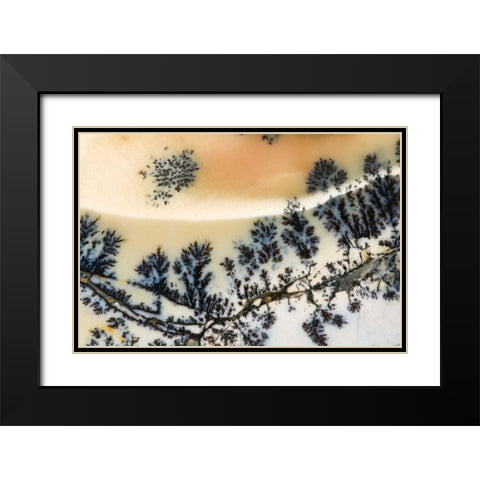 USA, Nevada Close-up of amethyst sage agate Black Modern Wood Framed Art Print with Double Matting by Kirkland, Dennis