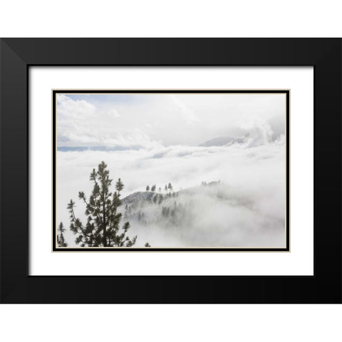 USA, Nevada View from Daggett Pass Black Modern Wood Framed Art Print with Double Matting by Paulson, Don