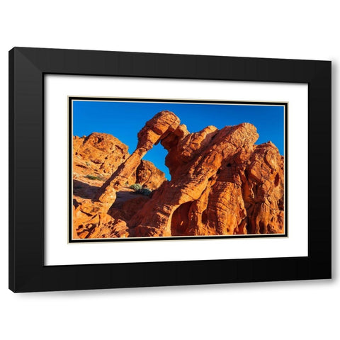 Morning light on Elephant Rock-Valley of Fire State Park-Nevada-USA Black Modern Wood Framed Art Print with Double Matting by Bishop, Russ