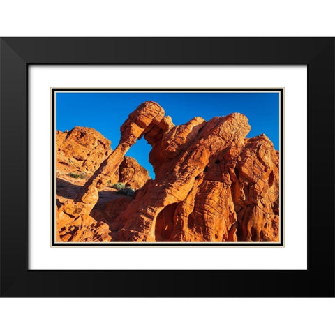 Morning light on Elephant Rock-Valley of Fire State Park-Nevada-USA Black Modern Wood Framed Art Print with Double Matting by Bishop, Russ