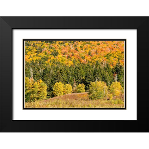 USA-New Hampshire-fall foliage Bretton Woods at base of Mount Washington Black Modern Wood Framed Art Print with Double Matting by Jones, Allison