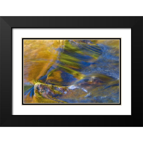 NH, White Mountain NF, Fall reflections in stream Black Modern Wood Framed Art Print with Double Matting by Rotenberg, Nancy
