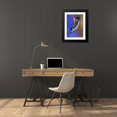 NH, Fall leaf floating in stream in reflection Black Modern Wood Framed Art Print with Double Matting by Rotenberg, Nancy