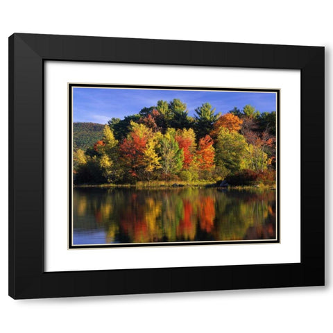 NH Trees in autumn reflecting in Lake Kanasatka Black Modern Wood Framed Art Print with Double Matting by Terrill, Steve