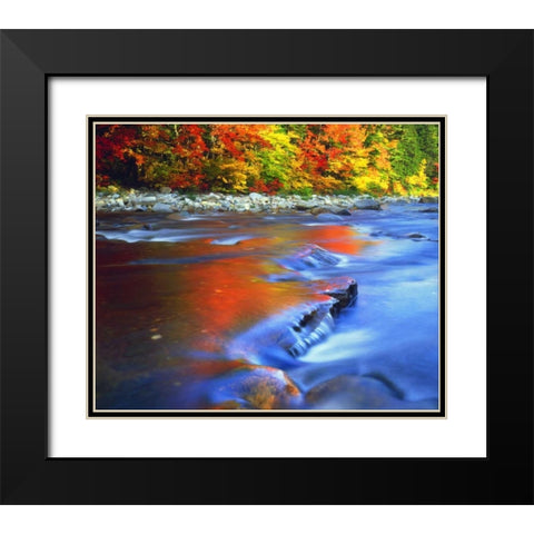 NH, White Mts, Swift River reflecting Autumn Black Modern Wood Framed Art Print with Double Matting by Talbot Frank, Christopher
