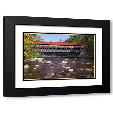 NH, White Mts Albany Covered Bridge Black Modern Wood Framed Art Print with Double Matting by Flaherty, Dennis