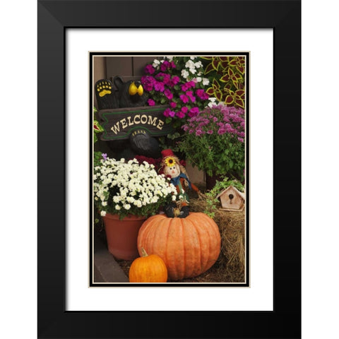 NH, White Mts Autumn decorations in store front Black Modern Wood Framed Art Print with Double Matting by Flaherty, Dennis