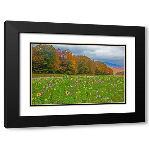 USA-New Hampshire-White Mountains in background with meridian planted with flowers along Interstate Black Modern Wood Framed Art Print with Double Matting by Gulin, Sylvia