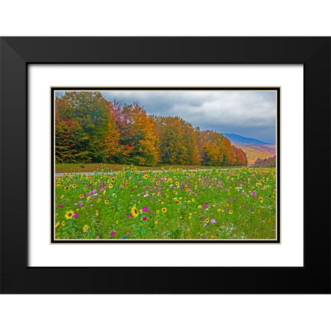 USA-New Hampshire-White Mountains in background with meridian planted with flowers along Interstate Black Modern Wood Framed Art Print with Double Matting by Gulin, Sylvia