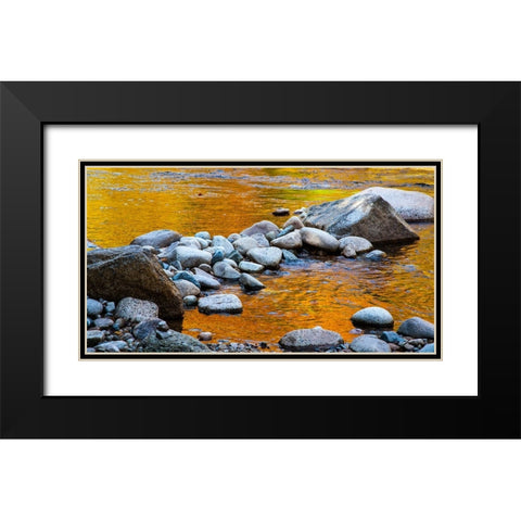 USA-New Hampshire-White Mountains National Forest-Swift River-Golden Fall colors reflected in rocky Black Modern Wood Framed Art Print with Double Matting by Gulin, Sylvia