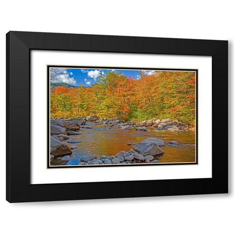 USA-New Hampshire-White Mountains National Forest and Swift River along Highway 112 in Autumn from  Black Modern Wood Framed Art Print with Double Matting by Gulin, Sylvia
