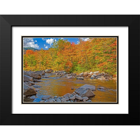 USA-New Hampshire-White Mountains National Forest and Swift River along Highway 112 in Autumn from  Black Modern Wood Framed Art Print with Double Matting by Gulin, Sylvia