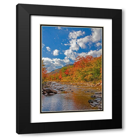 USA-New Hampshire-White Mountains National Forest and Swift River along Highway 112 in Autumn from  Black Modern Wood Framed Art Print with Double Matting by Gulin, Sylvia