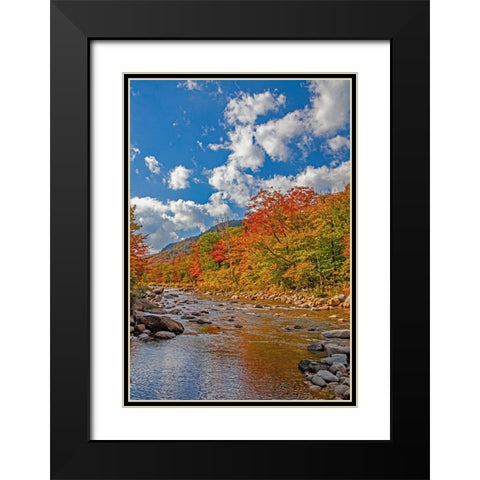 USA-New Hampshire-White Mountains National Forest and Swift River along Highway 112 in Autumn from  Black Modern Wood Framed Art Print with Double Matting by Gulin, Sylvia