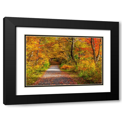 USA-New Hampshire-Franconia-one lane roadway with fallen Autumn leaves and lined with Fall colored  Black Modern Wood Framed Art Print with Double Matting by Gulin, Sylvia