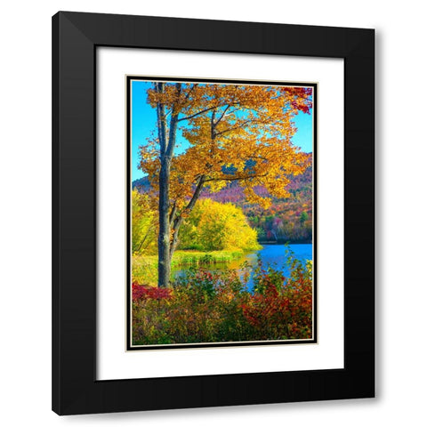 USA-New Hampshire-Franconia-small lake surrounded by Fall color of Maple-White Birch-and American B Black Modern Wood Framed Art Print with Double Matting by Gulin, Sylvia