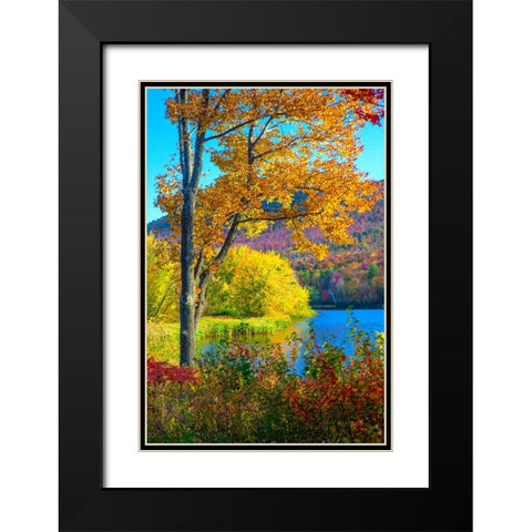 USA-New Hampshire-Franconia-small lake surrounded by Fall color of Maple-White Birch-and American B Black Modern Wood Framed Art Print with Double Matting by Gulin, Sylvia