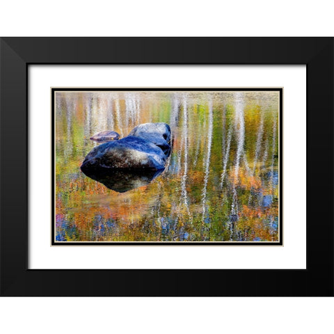 USA-New Hampshire-Gorham Autumn colors reflected in small pond Black Modern Wood Framed Art Print with Double Matting by Gulin, Sylvia