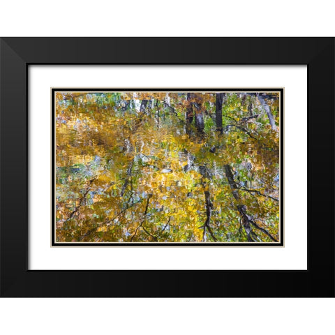 USA-New Hampshire-Gorham Autumn colors reflected in small pond Black Modern Wood Framed Art Print with Double Matting by Gulin, Sylvia