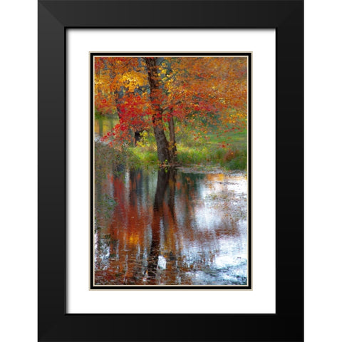 USA-New Hampshire-Jackson-Autumn in New England with Fall Color of Maple Tree reflected in small po Black Modern Wood Framed Art Print with Double Matting by Gulin, Sylvia