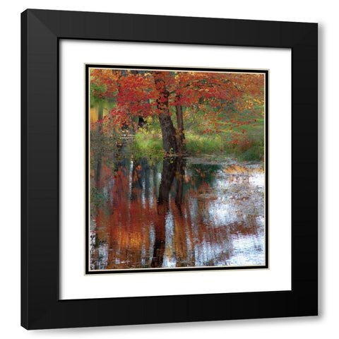 USA-New Hampshire-Jackson-Autumn in New England with Fall Color of Maple Tree reflected in small po Black Modern Wood Framed Art Print with Double Matting by Gulin, Sylvia