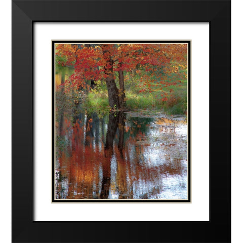 USA-New Hampshire-Jackson-Autumn in New England with Fall Color of Maple Tree reflected in small po Black Modern Wood Framed Art Print with Double Matting by Gulin, Sylvia