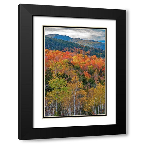 USA-New Hampshire-New England Fall colors on hillsides along highway 16 north of Jackson Black Modern Wood Framed Art Print with Double Matting by Gulin, Sylvia