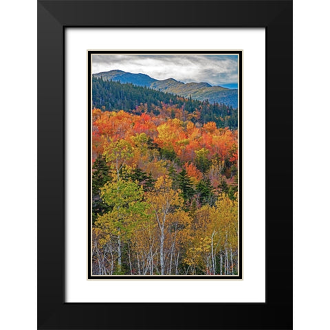 USA-New Hampshire-New England Fall colors on hillsides along highway 16 north of Jackson Black Modern Wood Framed Art Print with Double Matting by Gulin, Sylvia