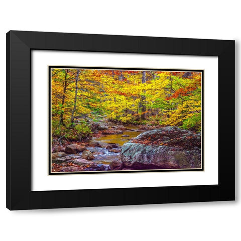 USA-New Hampshire-New England-Jackson small stream surrounded in Fall color Black Modern Wood Framed Art Print with Double Matting by Gulin, Sylvia