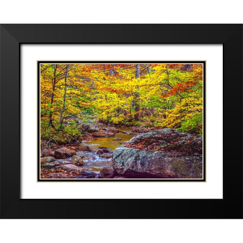 USA-New Hampshire-New England-Jackson small stream surrounded in Fall color Black Modern Wood Framed Art Print with Double Matting by Gulin, Sylvia