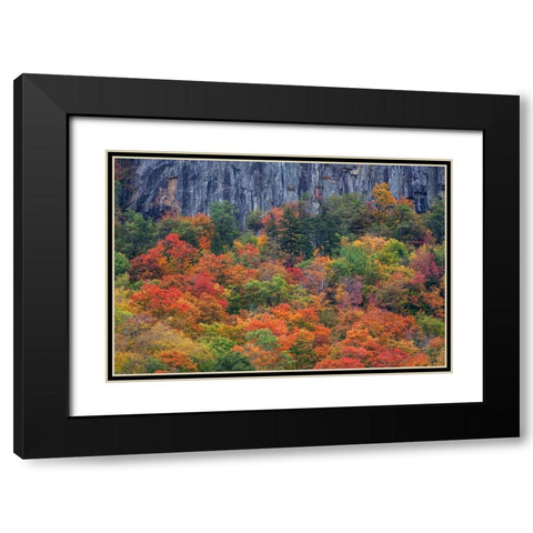 USA-New Hampshire-New England Crawford Notch Sate Park along highway 302 in Fall color Black Modern Wood Framed Art Print with Double Matting by Gulin, Sylvia