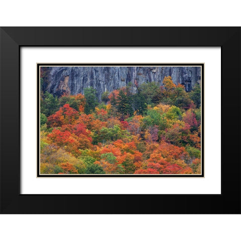USA-New Hampshire-New England Crawford Notch Sate Park along highway 302 in Fall color Black Modern Wood Framed Art Print with Double Matting by Gulin, Sylvia