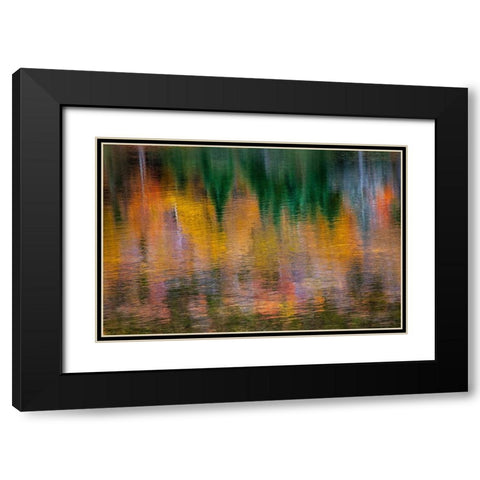 USA-New Hampshire-New England Fall colors reflected in the waters of the Saco River Crawford Notch  Black Modern Wood Framed Art Print with Double Matting by Gulin, Sylvia