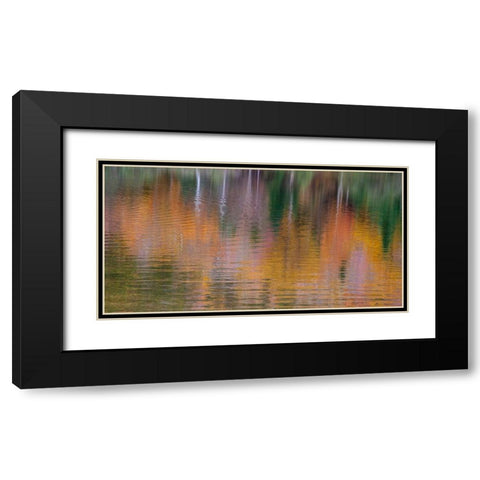 USA-New Hampshire-New England Fall colors reflected in the waters of the Saco River Crawford Notch  Black Modern Wood Framed Art Print with Double Matting by Gulin, Sylvia