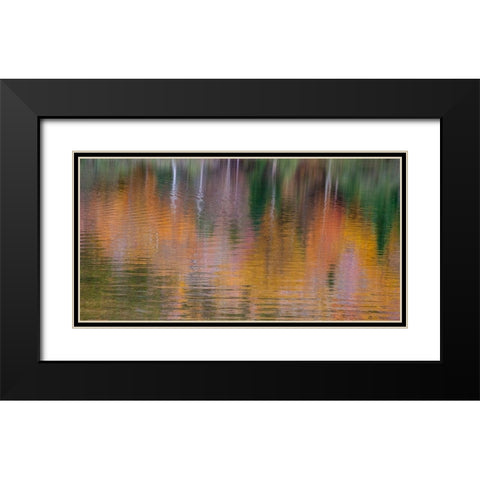 USA-New Hampshire-New England Fall colors reflected in the waters of the Saco River Crawford Notch  Black Modern Wood Framed Art Print with Double Matting by Gulin, Sylvia