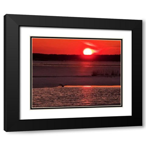 New Jersey, Cape May Sunset reflection on water Black Modern Wood Framed Art Print with Double Matting by OBrien, Jay