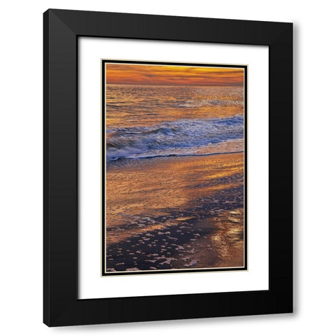 New Jersey, Cape May Sunset on the beach Black Modern Wood Framed Art Print with Double Matting by OBrien, Jay