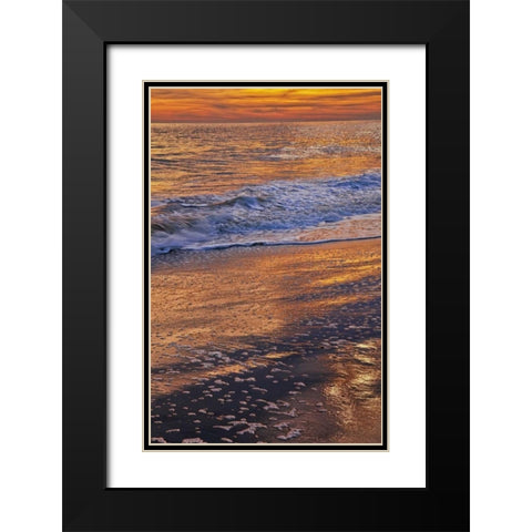New Jersey, Cape May Sunset on the beach Black Modern Wood Framed Art Print with Double Matting by OBrien, Jay