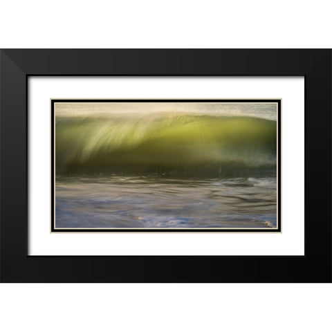 USA-New Jersey-Cape May National Seashore Black Modern Wood Framed Art Print with Double Matting by Jaynes Gallery