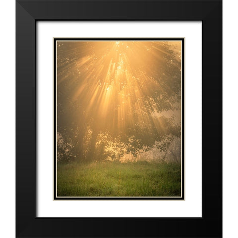 USA-New Jersey-Cape May National Seashore Sunrise sunbeams and tree scenic Black Modern Wood Framed Art Print with Double Matting by Jaynes Gallery