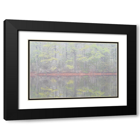 USA-New Jersey-Pine Barrens National Preserve Foggy forest landscape reflects in lake Black Modern Wood Framed Art Print with Double Matting by Jaynes Gallery