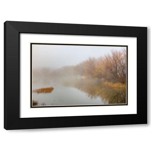 Trees on foggy morning-Bosque del Apache National Wildlife Refuge-New Mexico Black Modern Wood Framed Art Print with Double Matting by Jones, Adam